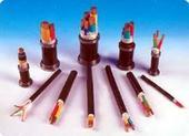 SC019系统电缆用途 SC019系统电缆定制 SC019系统电缆知名企业