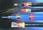 YJLV铝芯电力电缆 YJLV铝芯电力电缆价格合理图片