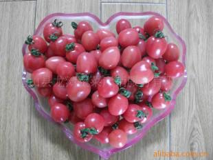 聊城市圣女果樱桃番茄厂家供应圣女果樱桃番茄应