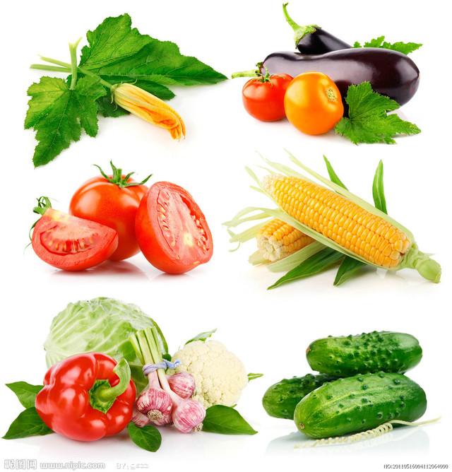 供应苏州蔬菜配送_食品配送_配送公司-有机绿色蔬菜配送基地