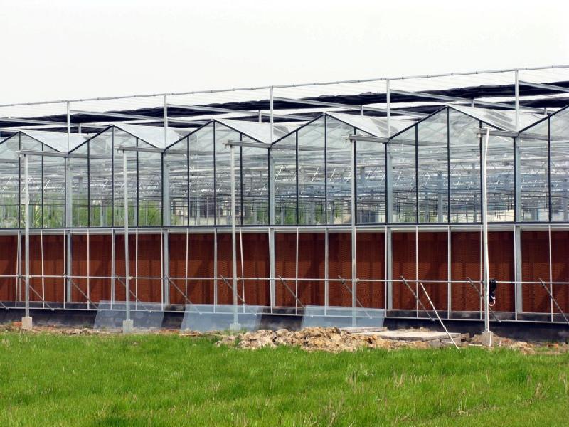上海蔬菜温室玻璃房回收5玻璃房