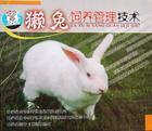 獭兔饲料配方獭兔养殖成本养殖商务批发