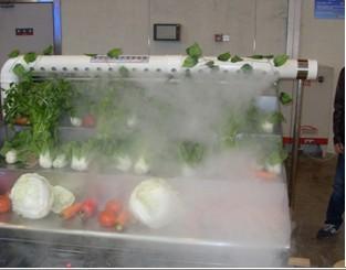 上海市蔬菜架加湿器厂家
