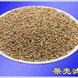贵州果壳滤料技术推广 贵州果壳滤料生产供应商 果壳滤料价格