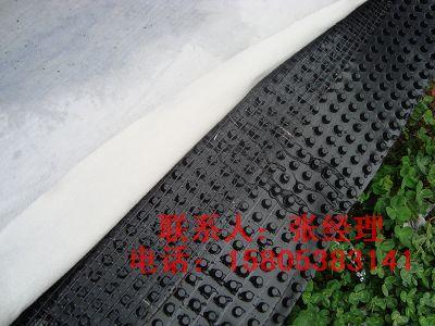 江苏HDPE排水板车库排水板地下室蓄水板供应 江苏车库排水板