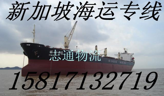 广州市中国到新加坡海运专线厂家
