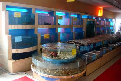 无锡酒店海鲜鱼缸制作价格亚克力批发