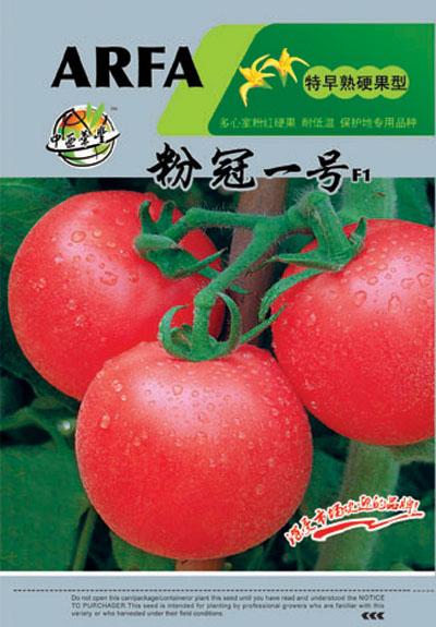 供应进口番茄种子-粉冠一号进口番茄种子粉冠一号