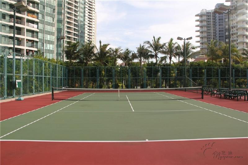 供应硅PU塑胶网球场特点及安装