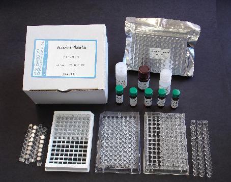 沈阳供应腹泻性贝类毒素（DSP）检测试剂盒腹泻性贝类毒素检测试剂盒