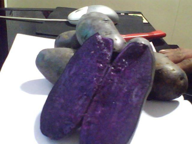 紫色土豆紫色土豆种子紫色土豆品种黑美人土豆黑美人土豆