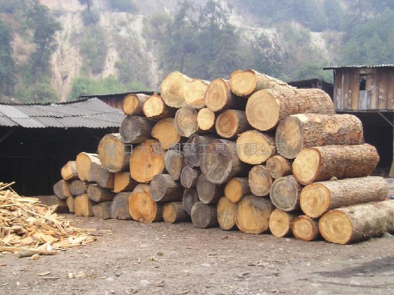 全套木材进口代理-广东木家具进口清关代理/原木木材进口报关代理