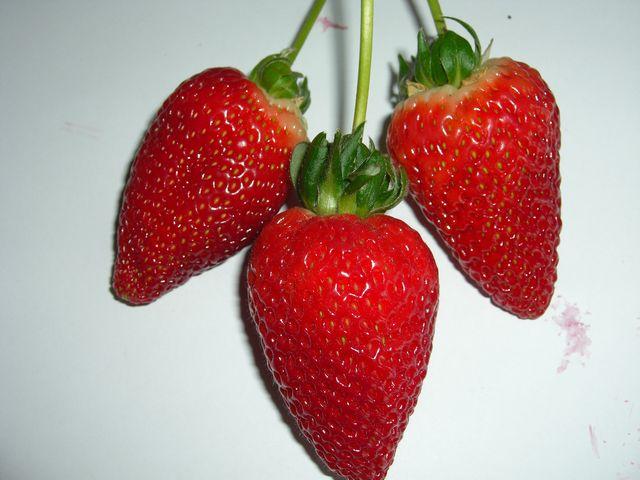 供应草莓的营养价值怎么样
