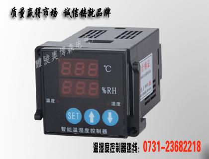 WSK-HS温湿度监控器批发