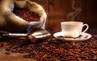 供应中国特种咖啡协会