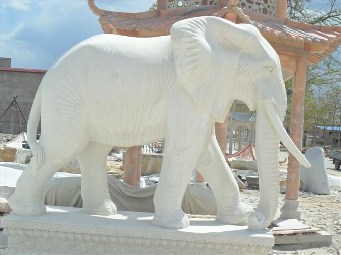 汉白玉大象供应曲阳石雕石头记雕塑供应汉白玉大象供应曲阳石雕石头记雕塑