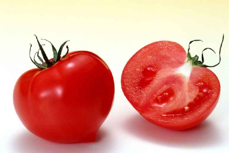 厂家供应 番茄红素