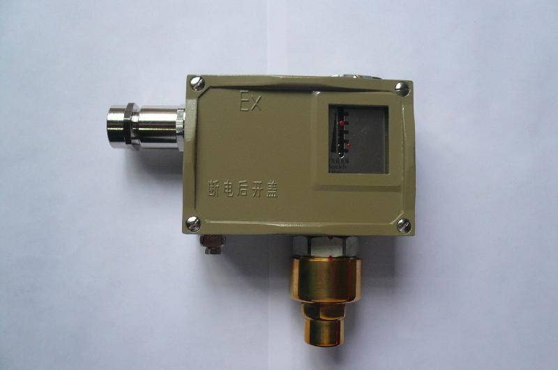 防爆型压力控制器D502/7D批发