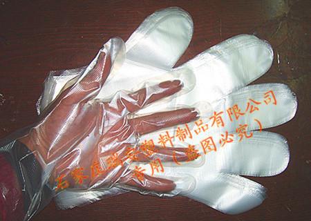 石家庄市华北地区一次性卫生薄膜手套批发厂家