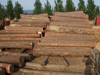 供应巴西巴拉那瓜港木材出口中国代理图片