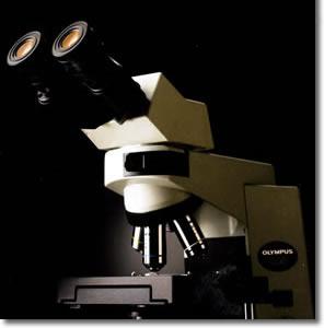 奥林巴斯CX41-32C02三目生物显微镜 可增配成像系统