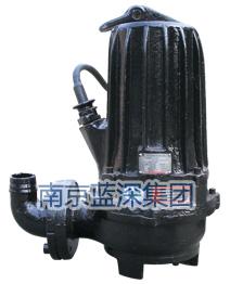 南京蓝深WQ400-20-45污水提升泵