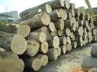 北美原木进口代理上海木材进口清关批发