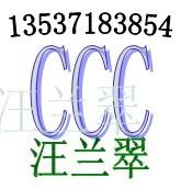 供应无极灯CCC认证/FCC认证13537183854