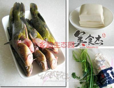 供应徐州市最大的岔尾黄颡鱼苗供货商，徐州市最大的岔尾黄颡鱼批发商