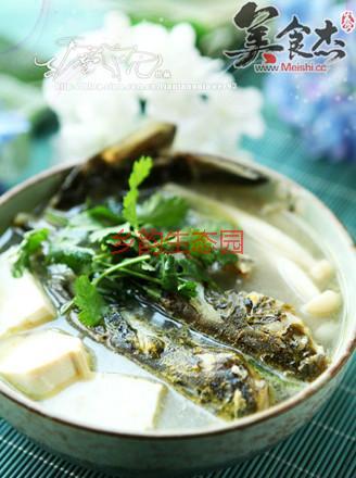 供应徐州市质量最好的黄颡鱼鱼苗批发，徐州市哪里有大量的黄颡鱼鱼苗报价