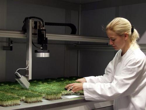 供应实验室高通量植物成像系统Scanalyzer HTS