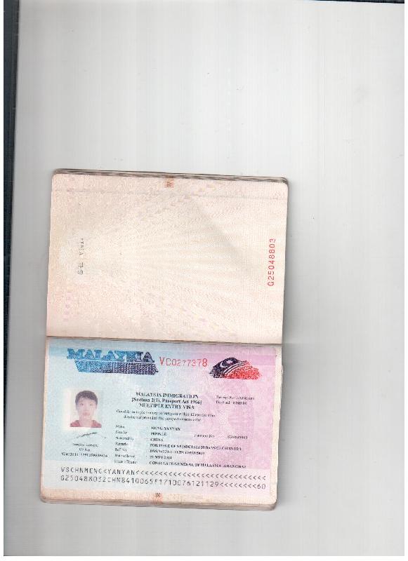 供应办理马来西亚半年多次签证流程图片