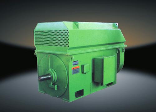 高压电动机  高压电动机供应商 高压三相异步电动机