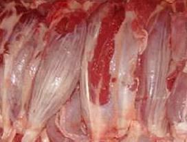 冷冻食品代理进口羊肉 猪肉 牛肉 鸡肉 鸭肉价格图片