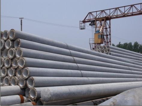 供应用于的北京水泥电线杆厂 8米水泥电杆图片
