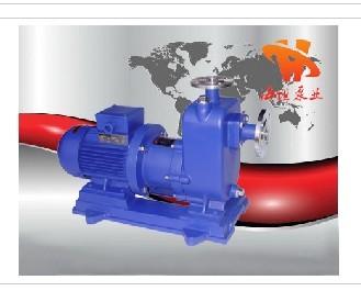 供应自吸泵规格磁力自吸泵ZCQ型