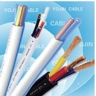 BPVVP变频电缆变频器专用电缆图片