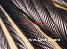 广州“抛光316不锈钢钢丝绳”—进口免检钢丝—“304不锈钢钢丝绳”