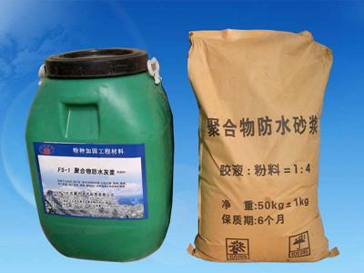 供应FS-1聚合物防水灰浆供应商