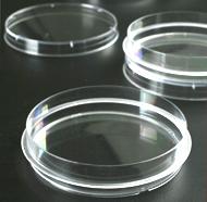 一次性细胞培养皿干细胞培养批发