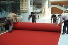 供应广西南宁条纹红地毯