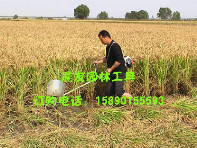供应小型水稻收割机晨友小型水稻收割机生产厂家