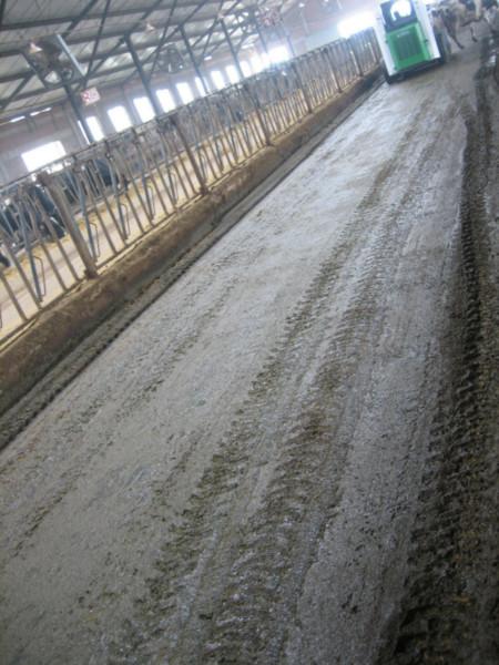 羊场自动清粪机供应羊场自动清粪机，羊场自动清粪机价格，羊场自动清粪机供货商