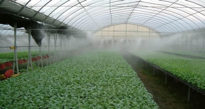 鲜花蔬菜种植大棚喷雾加湿洒药施肥器