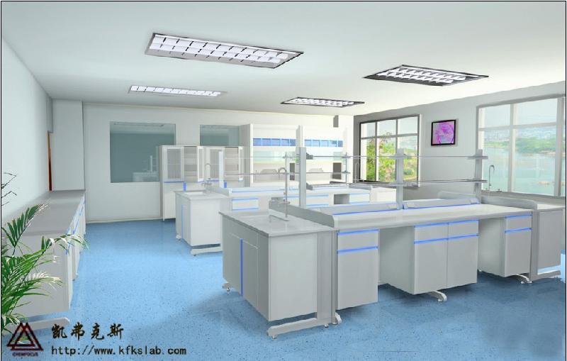 凯弗克斯专业级实验室设计研究中心 实验室规划与设计 图片