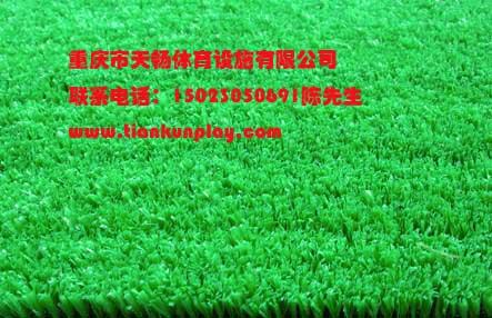 重庆市重庆渝中区足球场人造草坪厂家