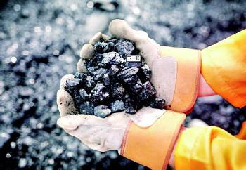 广东煤炭哪里有买卖批发