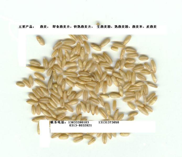 供应用于原材料的出售燕麦