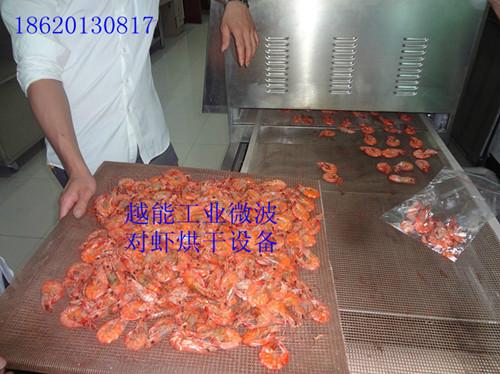 供应对虾烘干设备厂家对虾烘干设备价格