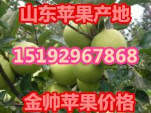 临沂市山东红星苹果批发厂家山东红星苹果批发价格 山东红星苹果产地价格